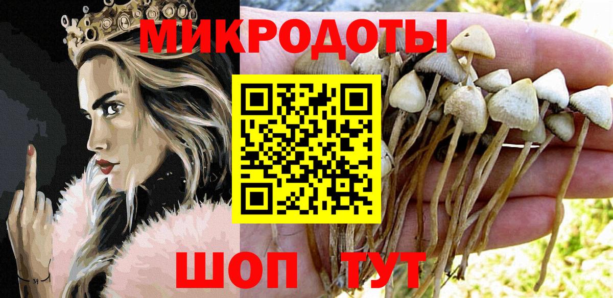 Миасс  Галлюциногенные грибы Psilocybe  Вход с VPN 